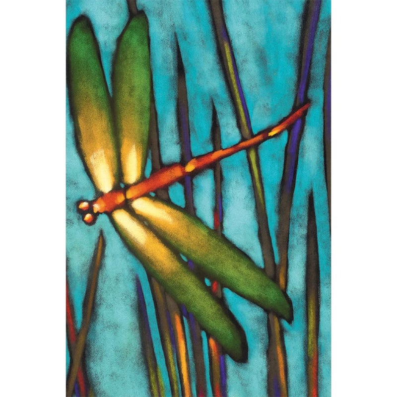 Tree-Free Greetings - All Occasion Cards - Artful Designs - 12 Greeting Cards + White Envelopes - Made in USA - 100% Recycled Paper - 4 x 6 - Beautiful Dragonfly (FS66501) - Image 1